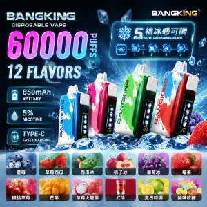 Bang King 一次性電子煙｜60000口｜850mAh 可充電｜5%濃度｜5檔冰感｜口味清單